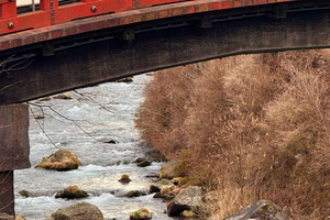 Discover Nikko Full Day Private Tour from Tokyo