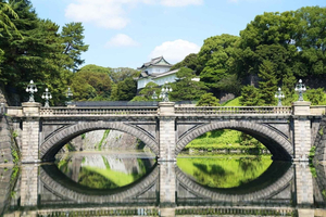 Edo Castle and Imperial Palace Guided Walking Tour