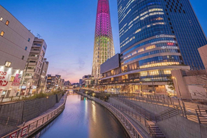 From Nagano: Private Guided Tour to Tokyo with Hotel Pickup
