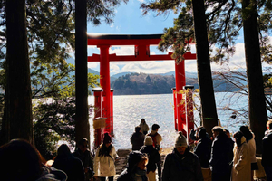 Z Tokio: Prywatna wycieczka samochodowa z przewodnikiem po głównych atrakcjach Hakone