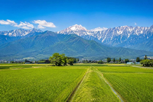 Fra Fleksibel turplan til Matsumoto og Wasabi-gården