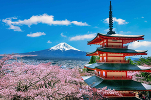 From Tokyo: Mount Fuji Full Day Private Customizable Tour