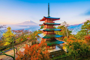 From Tokyo: Mount Fuji Full Day Private Tour