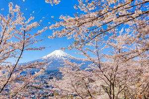From Tokyo - Mount Fuji One Day Private and Guided Tour
