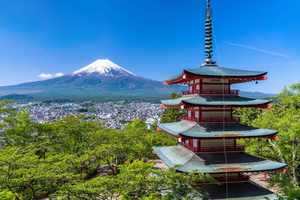 From Tokyo: Mount Fuji Private Day Tour Fully Customizable