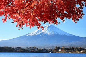 From Tokyo - Mount Fuji Private Day Tour With English Guide