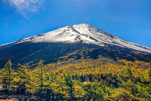 From Tokyo - Mt. Fuji & Hakone 1-Day Bus & Bullet Train Tour