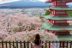 Fra Privat tur til Fujibjerget og Hakone med hotelafhentning