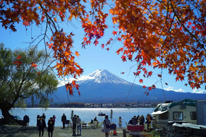 From Tokyo Mt. Fuji Private Tour In Prado Fully Adjustable