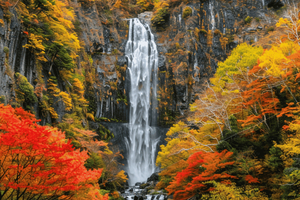 Fra Privat heldagstur til Nikko National Park i bil