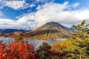 From Tokyo: Nikko One-Day Private Tour