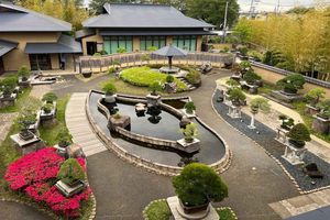 From Tokyo: Omiya Bonsai Village Tour with Licensed Guide