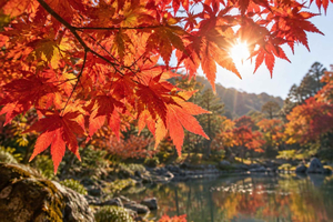 From Tokyo - Private Autumn Colors Tour with Hot Spring
