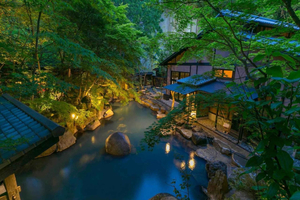 From Tokyo: Private Tour to Fuji/Hakone - Onsen, Art, Nature