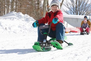 From Tokyo: Ski DayTrip with Gears & Wears to Hodaigi