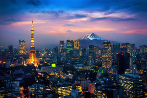 From Tokyo: Tokyo City One-Day Private Tour with Guide