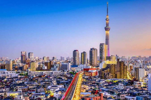 From Tokyo: Tokyo Full Day private Tour With English Driver