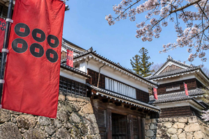 Fra Ueda-slottet, Bessho Onsen og den ottekantede pagode
