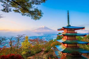 Fuji/Hakone Private Tour, English speaking guide, Photograph