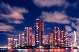 Tokio: dagtour door Tokio met chauffeur/gids