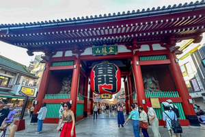 Full Meiji Shrine, Imperial Palace, Asakusa & Skytree