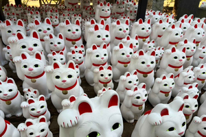 Gotokuji Culture Walk & Lucky Cat Temple Experience