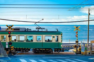 Hakone to Kamakura Day Tour with Enoden Train Experience