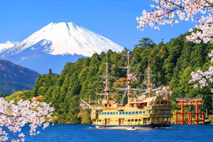 HakonexFuji:Owakudani, Lake Ashi FREE Pirate Ship+Cable Car.