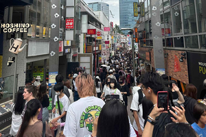 Haneda Airport 5-Hour Private Layover Tour — Explore Tokyo