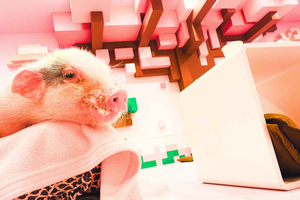 Harajuku: Blend of Tradition & Pop Culture for Families