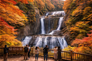 Tokio: Hitachi Seaside Park en natuur- en heiligdommentour in Ibaraki