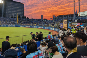 Japan Baseball Tour-Catch a Live Game in Tokyo with a Local