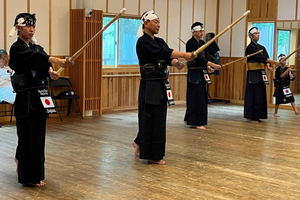 Japansk kendo-oplevelse med højtstående instruktør