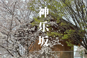 Kagurazaka : quartier secret des geishas et Tokyo traditionnel