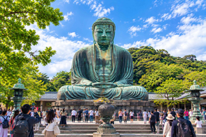 gita di 1 giorno di lusso a Kamakura ed Enoshima con auto premium