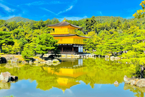 Kyoto Full-Day Customizable Private Tour with English Guide