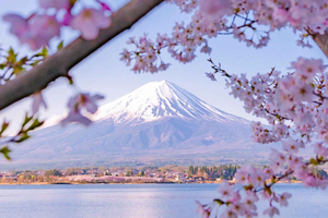 Luksuriøs tur til Fuji-bjerget og Hakone fra et hvilket som helst sted