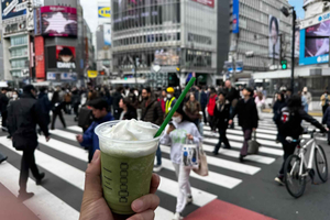 Make Your Matcha Drinks - Café-Style Experience