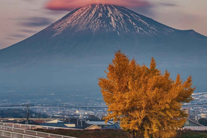 Mount Fuji and Hakone Day Trip with English Guide