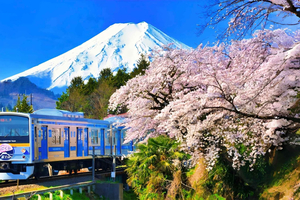 Mount Fuji Day Tour: Instagrammable Spots + Scenic Train