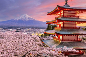 Mount Fuji Full Day Private Customizable Tour with Guide