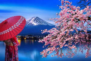 Berg Fuji en Outlet Onsen: privédagtour met auto vanuit Tokio