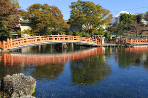 Mount Fuji South Side Tour: Fujinomiya, Shiraito Falls