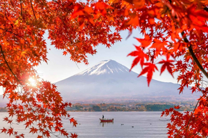 Mt. Fuji 6 Must-See Spots Tour: Lake Kawaguchi,Oshino Hakkai