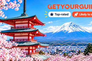 Privat heldagstur till de bästa platserna på Mt Fuji