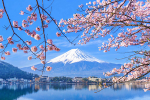 Monte Fuji: tour in minibus a Kawaguchi, Yamanaka e Oshino Hakkai