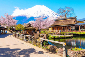 Mt Fuji, Saiko Village, Lake Kawaguchi, Oshino hakkai