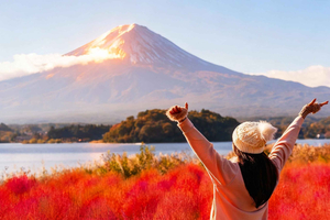 Mt Fuji Top 5 Spots Day Tour: Arakurayama Park,Oshino Hakkai