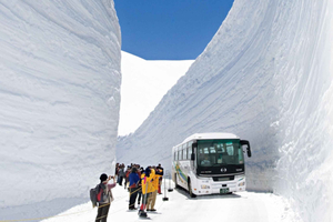 Nagano: World’s Edge Tateyama Kurobe Alpine Route Tour