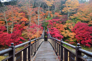 Tokio: 2-daagse tour naar de Nasu-hoogvlakte en Shiobara Onsen